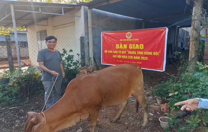 Sỹ Bò 2